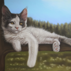 Tekening in pastel van een kat