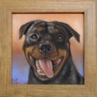 Pasteltekening van een rottweiler hond