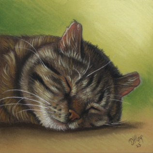 Pasteltekening kat