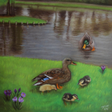 Spring Duckies