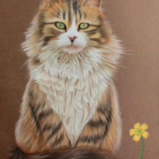 Flower cat