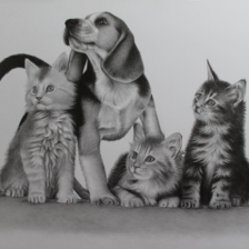 Tekening dieren