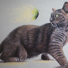 Tekening pastel kat