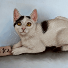 Tekening kat I Miss You