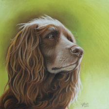 Tekening pastel hond