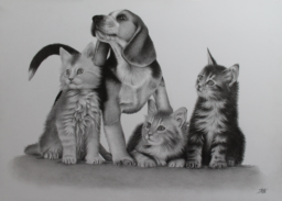 Tekening dieren