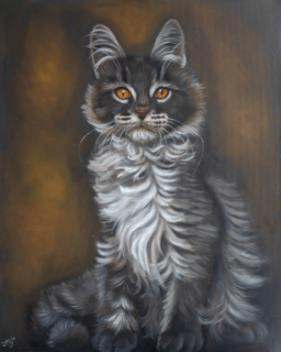 Schilderij Maine Coon