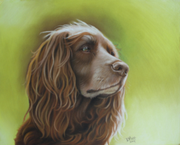 Tekening pastel hond