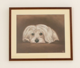 Tekening pastel hond